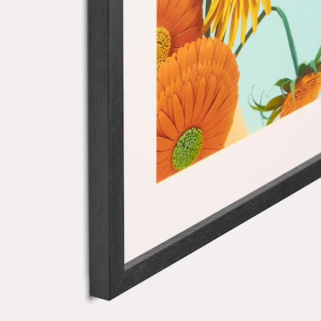 Posters in lijst, foto 11