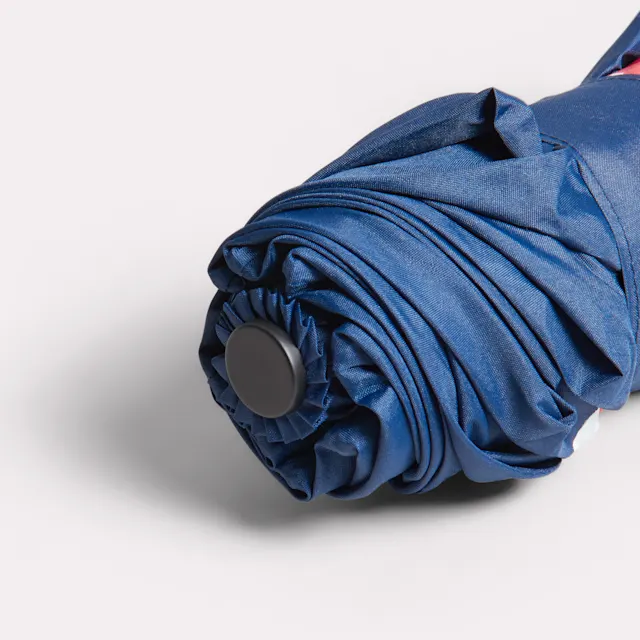 Eco Opvouwbare Paraplu's Minimax Automatisch openen en sluiten Windproof 100 cm, foto 5