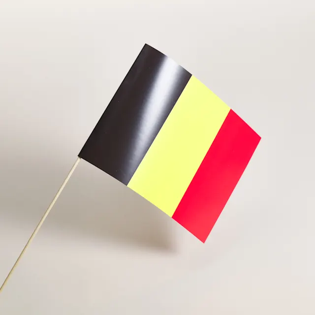 Zwaaivlaggetjes, foto 2