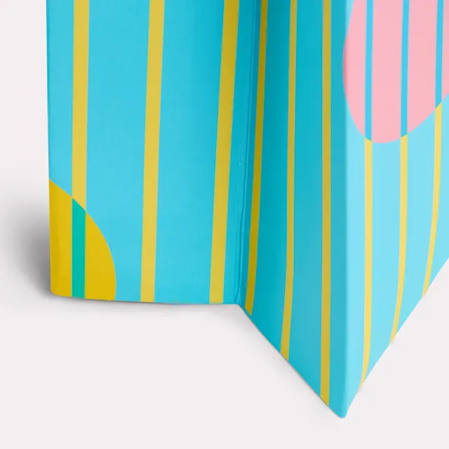 Sacs en papier luxe - poignée aspect satin, photo 6