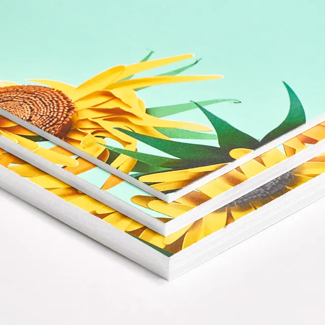 Foamboard, photo 5