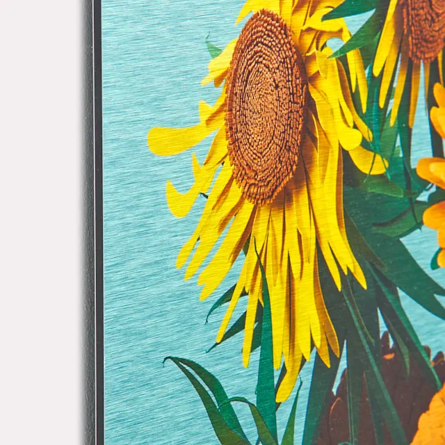 Photo sur aluminium