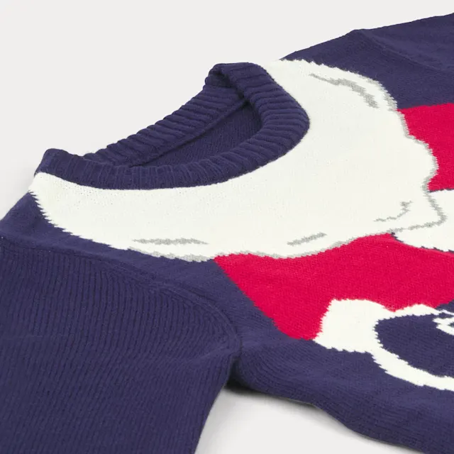 Pulls de Noël, photo 9