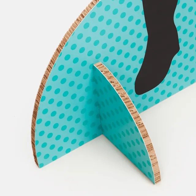 Pieds en Re-board, photo 4