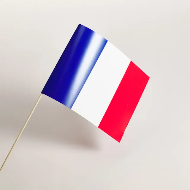 Petits drapeaux à agiter, photo 3